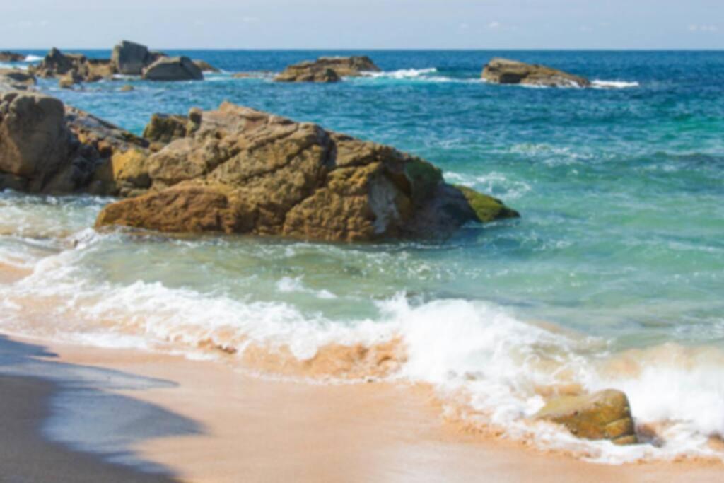 Le Petit Cote Ouest - Appt Dans Les Pins Pres De La Plage لي سابلِ دولونْ المظهر الخارجي الصورة