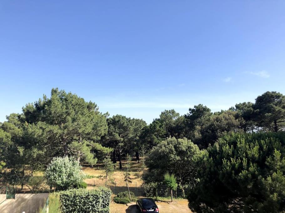 Le Petit Cote Ouest - Appt Dans Les Pins Pres De La Plage لي سابلِ دولونْ المظهر الخارجي الصورة